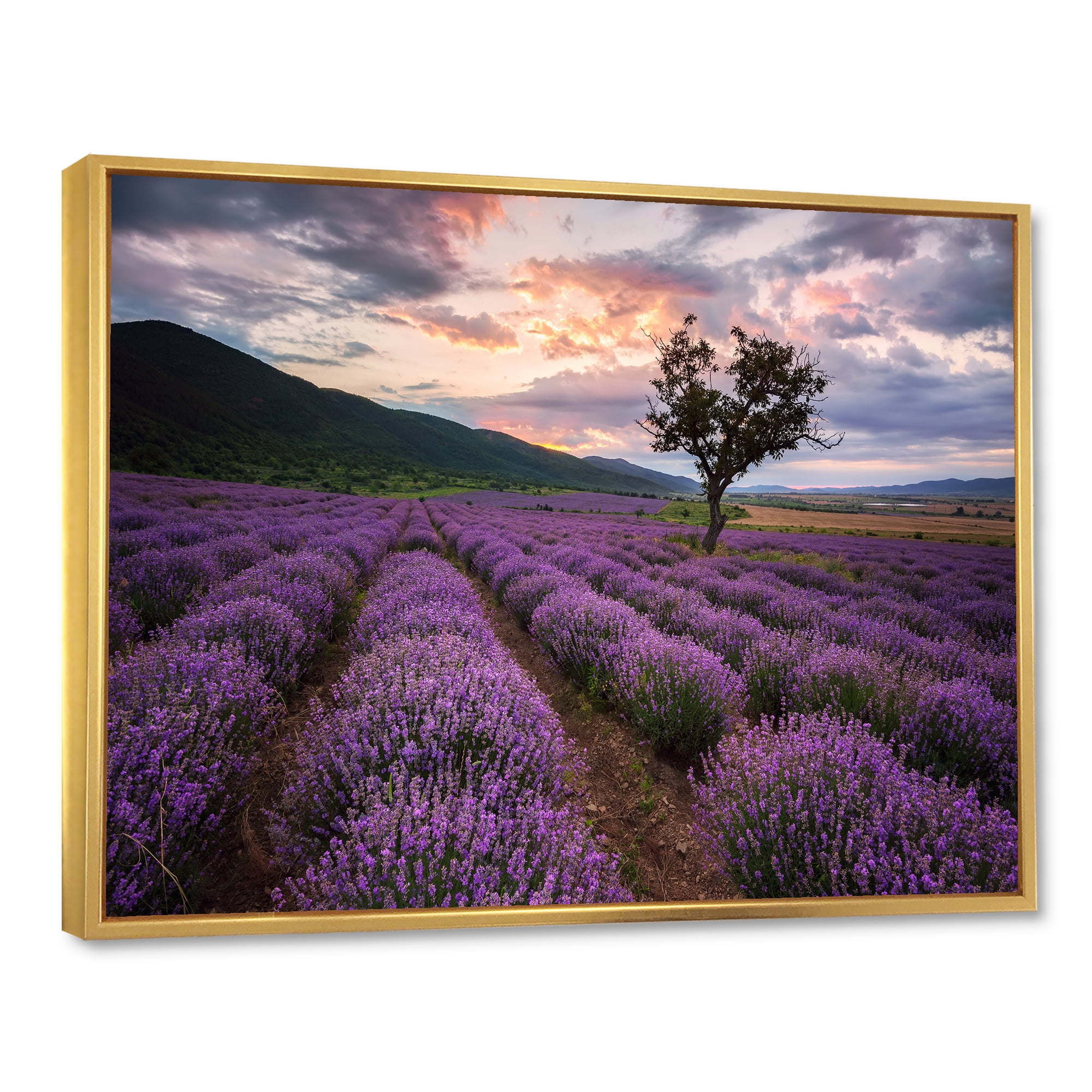 Designart 'Lavender Field At Sunrise III' Farmhouse Framed Canvas Wall Art Print