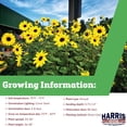 thumbnail image 2 of Harris Seeds Sunflower Sunfinity F1, Indeterminate Variety, 5 Count, 2 of 7
