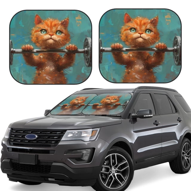 Saiise Strong Kitten Lifting Weights for Foldable Car Sun Shades (2-Pack) Offer Sun Protection with an Easy-fold Design for Convenient Windshield Shading-Medium