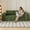 Green, variant on S-HOME Ergonomic Loveseat Sofa in Striped Pattern with Foam Cushion, Deep Seat Design for Living Room, Bedroom and Apartments, Green