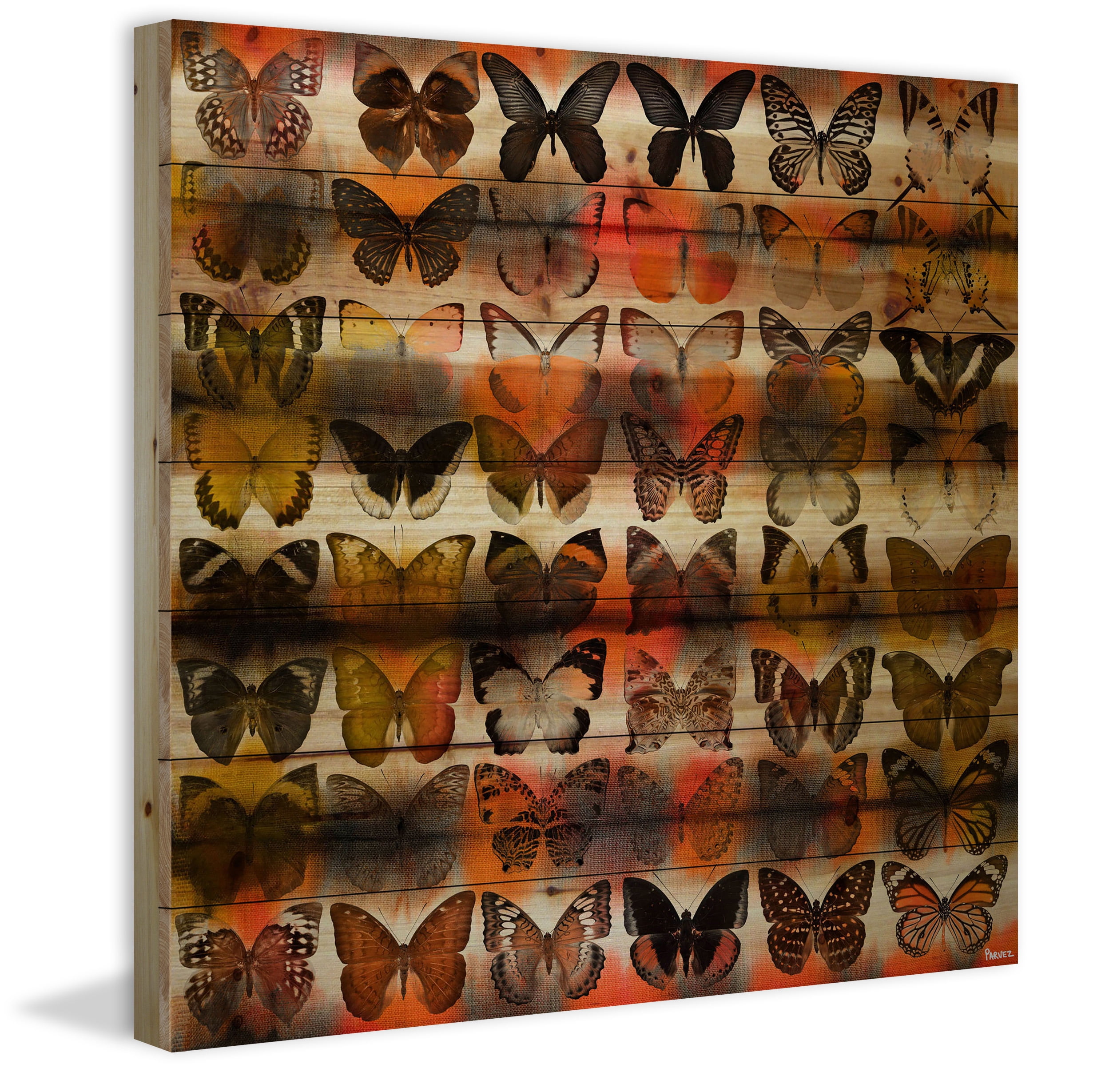 Parvez Taj Moths in Rows Pinewood Wall Art, 18" x 18"