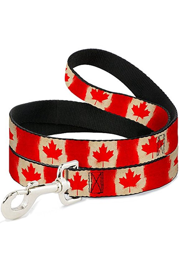 Buckle Down Buckle-Down Pet Dog or Cat Leash