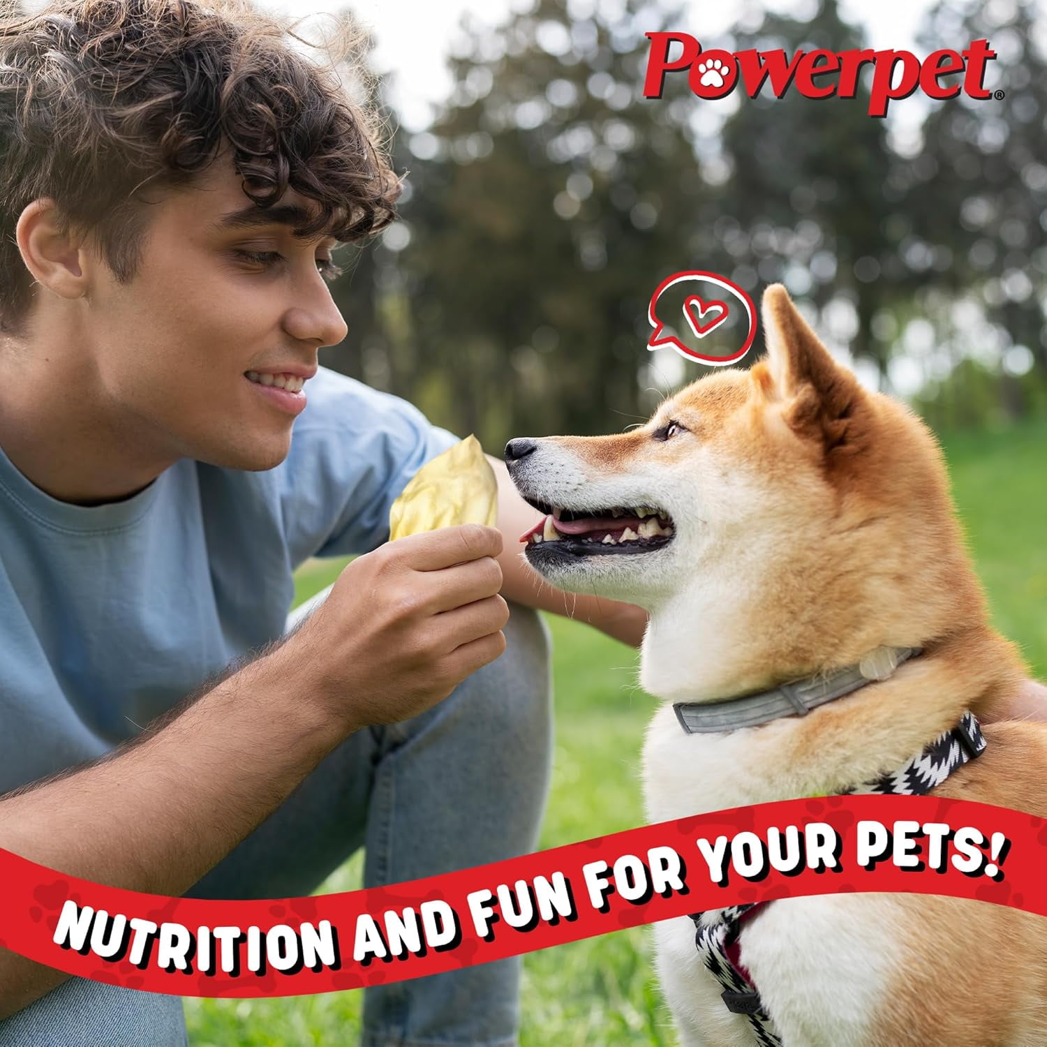 Powerpet Beef Ears, Dental Treats for Dogs - High Protein, Low Fat - 100 Pieces Bag