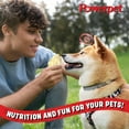 thumbnail image 5 of Powerpet Beef Ears, Dental Treats for Dogs - High Protein, Low Fat - 100 Pieces Bag, 5 of 8