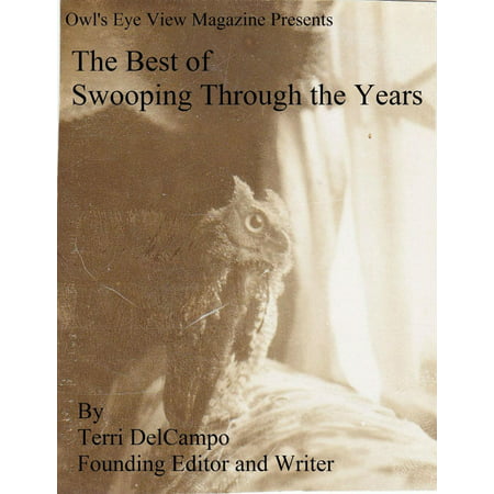 Owl's Eye View Magazine Presents The Best of Swooping Through the Years - (Best Present For 2 Year Old)