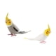 thumbnail image 1 of Conjunto de 2 figuras de loro para uso interior y exterior, 1 of 9