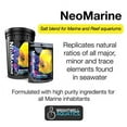 Brightwell Aquatics NeoMarine Marine Salt Blend for Reef Aquarium, 50