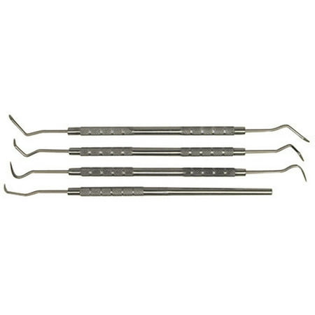 4 Piece Assorted Stainless Steel Dental Tool Pick Set Kit Pic
