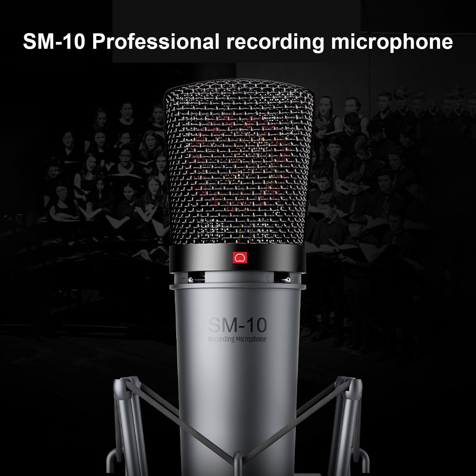 Nishore Microphones,Mount 48v 48v Network Sm-10 Metal Xlr Metal Windscreen Mount Network Live Metal Xlr With Windscreen Mount 48v With Metal Windscreen Siuke Huiop Reco