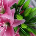 thumbnail image 5 of 7 Pcs Artificial Lily Flowers Artificial Lilies Flowers for Home Wedding Bouquets Home Hotel Party Decor Graves Arrangement (Red), 5 of 10
