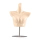 thumbnail image 3 of Maniquí femenino Torso Bra Maniquí Maniquí resistente Lencería independiente Soporte de piel plateada, 3 of 8
