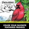 Crayola Bird Coloring Book, 40 Premium Birdwatching Adult Coloring ...