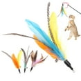 thumbnail image 4 of 5pcs/lot Cat Toys Feather Replacement for Interactive Cat Wand Products, 4 of 9