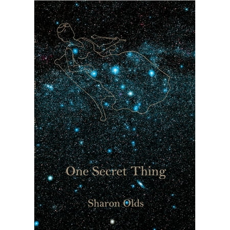 One Secret Thing (Paperback)