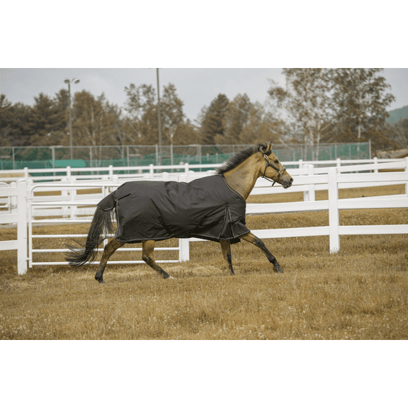 TuffRider 1200 D Comfy Winter Ripstop Turnout Blanket Medium Weight 200 GSM Standard Neck