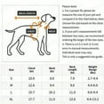 thumbnail image 2 of PEACNNG Winter Essentials  Cozy Knit Pullover Sweater for Small Dogs  Stylish & Easy-Care, 2 of 7