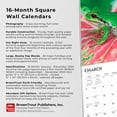 thumbnail image 2 of BrownTrout Frogs 2024 12x24 Inch Square Wall Calendar, 9781975462765, 2 of 8