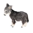 thumbnail image 2 of lionlar 2- Statue de Burro Modèle d'Animal de Simulation Jouet Éducatif pour Enfants Cadeau 2 Pcs, 2 of 9
