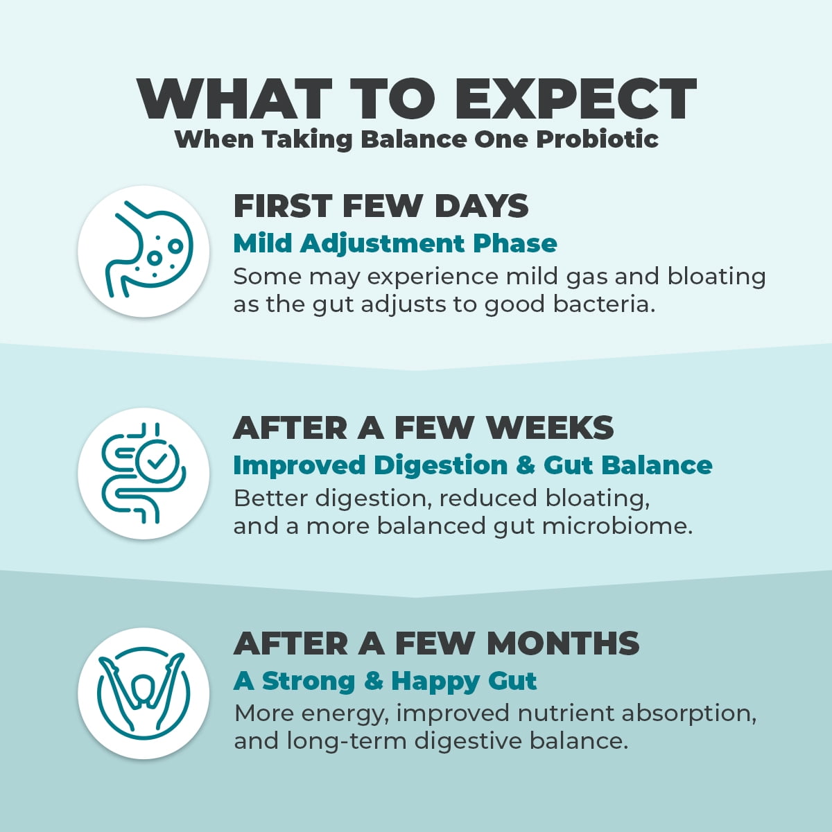 Balance ONE Time-Release Probiotic, 15 Billion CFUs, 12 Strains, Vegan, Gluten-Free, 60 Tablets