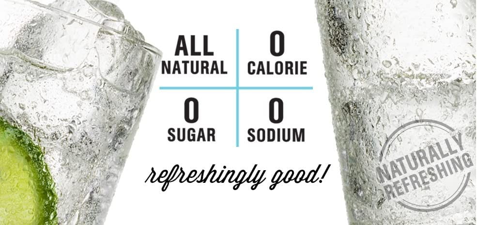 Hal's New York Seltzer Carbonated Black Cherry Flavored Sparkling Water, Zero Sugar, Zero Calorie, Zero Carbs, 20 Fl Oz Pack of 24