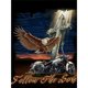 thumbnail image 3 of Cuadros Decorativos 5D diamante pintura DIY águila motocicleta completo redondo taladro pared decoración Rhinestone Ndcxsfigh Nuevos Originales, 3 of 9