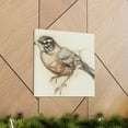 thumbnail image 5 of American Robin in Spring - Canvas, 5 of 25