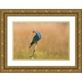 thumbnail image 1 of Chang, Phillip 18x13 Gold Ornate Wood Framed with Double Matting Museum Art Print Titled - Happy Roller, 1 of 4