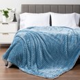 thumbnail image 5 of PAVILIA Soft Fleece Sherpa Throw Blanket for Sofa Couch Bed, Blue, 50x60, 5 of 7