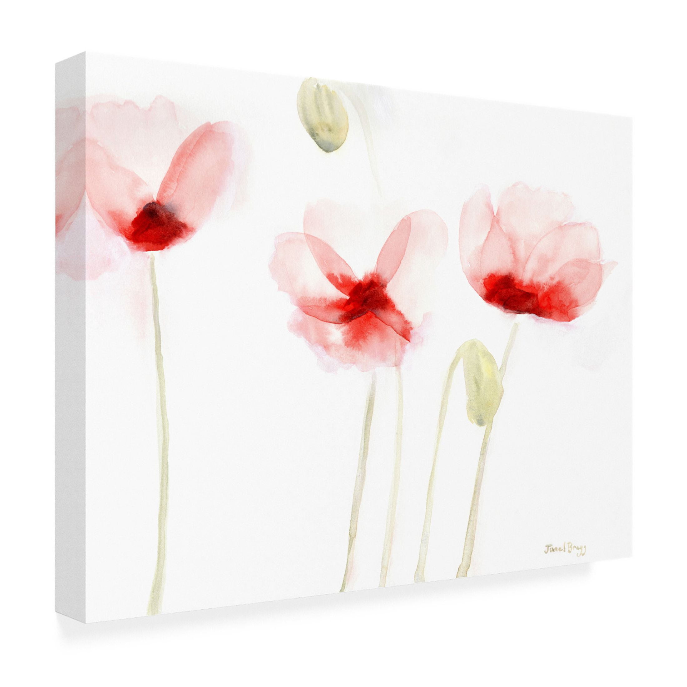 Canvas Wall Art - Janel Bragg 'Poppies From Memory' Wall Art for Living Room, Bedroom, or Office Décor by Trademark Fine Art - 19 x 14 Inches