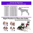thumbnail image 1 of Collar Para Perro Golden Chain, Cadena Cubana, Acero Inoxida, 1 of 8
