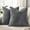 Dark Grey, variant on Spring Dark Grey Chenille Throw Pillow Covers 18x18 Set of 2 Textured Slubby Couch Pillow Covers Farmhouse Accent Modern Neutral Decorative Pillow Cases for Bed Sofa Living Room