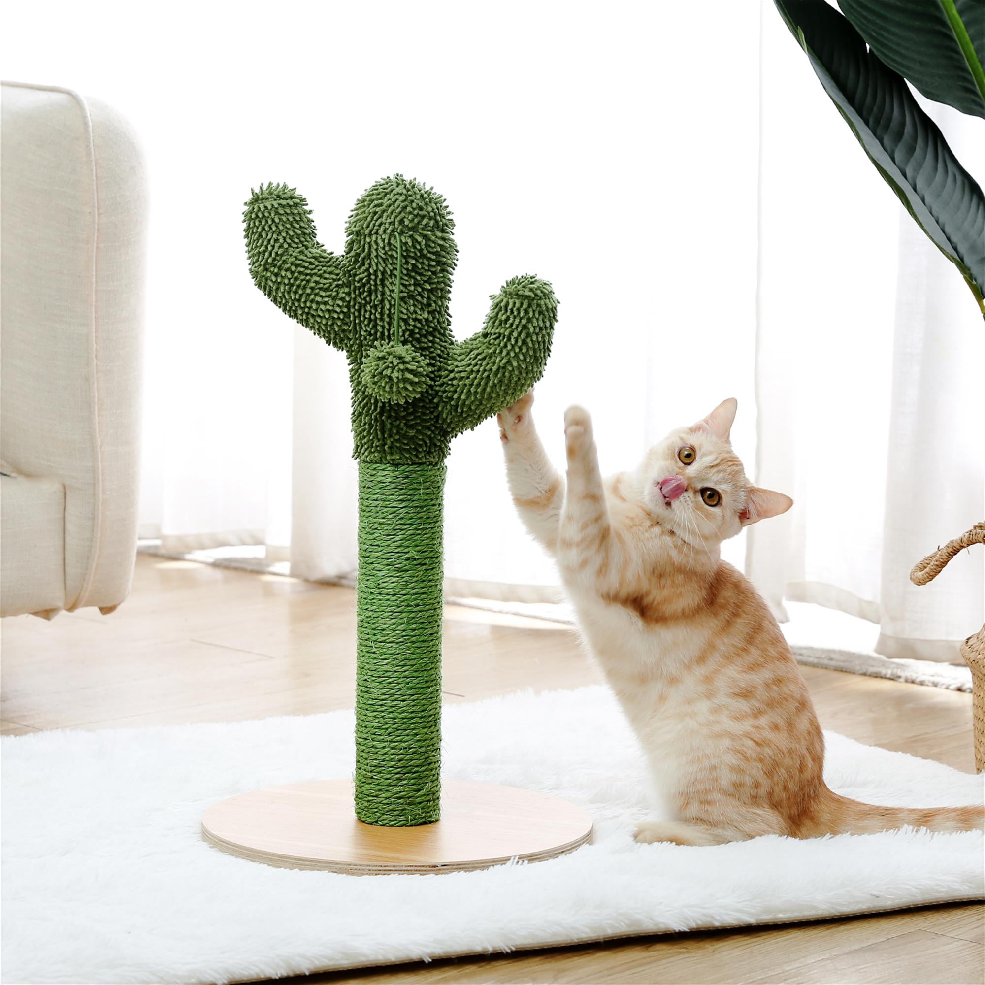 Kadyn 20" Cat Scratching Post, Cactus Cat Scratcher Kitten Scratch Post for Indoor Cats, Claw Cat Tree with Dangling Ball for Kitties, Green