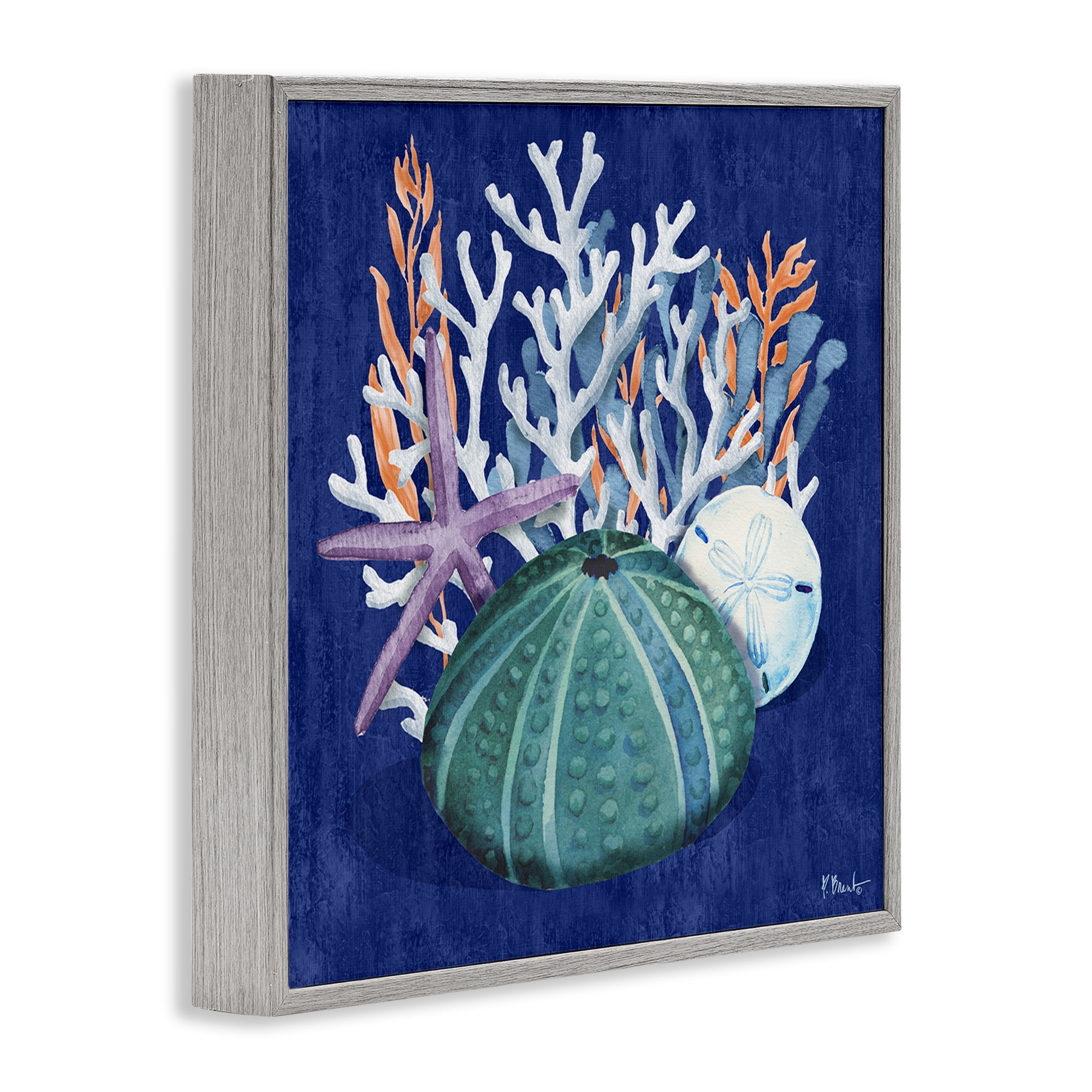 Stupell Industries Monterey Urchin & Coral Coastal Painting Gray Framed Art Print Wall Art, 24 x 24