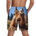 thumbnail image 2 of Lsque Mens Swim Trunks Close-Up Curious Squirrel Pattern - Bathing Suit Compression Liner - Beach Swim Shorts Swimwear - (S-3XL) - Stretch Quick Dry -3X-Large, 2 of 9