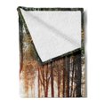 thumbnail image 2 of Forest Soft Flannel Fleece Throw Blanket, Bluebell Woods Sunrise with White Rabbit Sunny Spring Day in Woodland, Cozy Plush for Indoor and Outdoor Use, 60" x 80", Purple Green, by Ambesonne, 2 of 5
