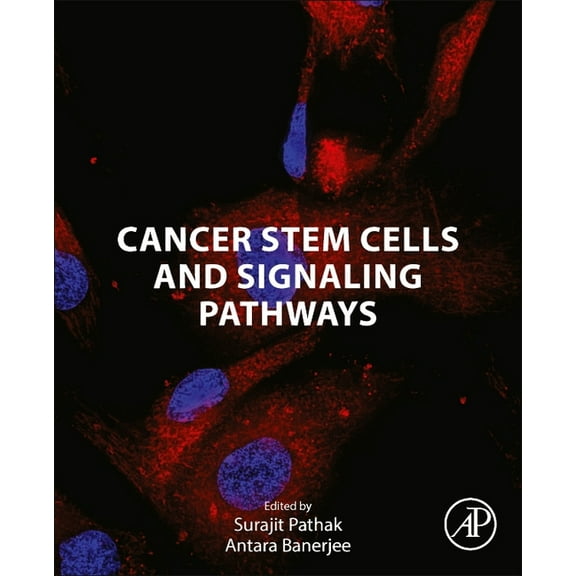 Cancer Stem Cells and Signaling Pathways, (Paperback)