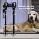thumbnail image 4 of Campanas de entrenamiento para perros2 uds.ajustablepara perros y gatospara puerta de allanamiento de morada Ndcxsfigh Nuevos Originales, 4 of 8