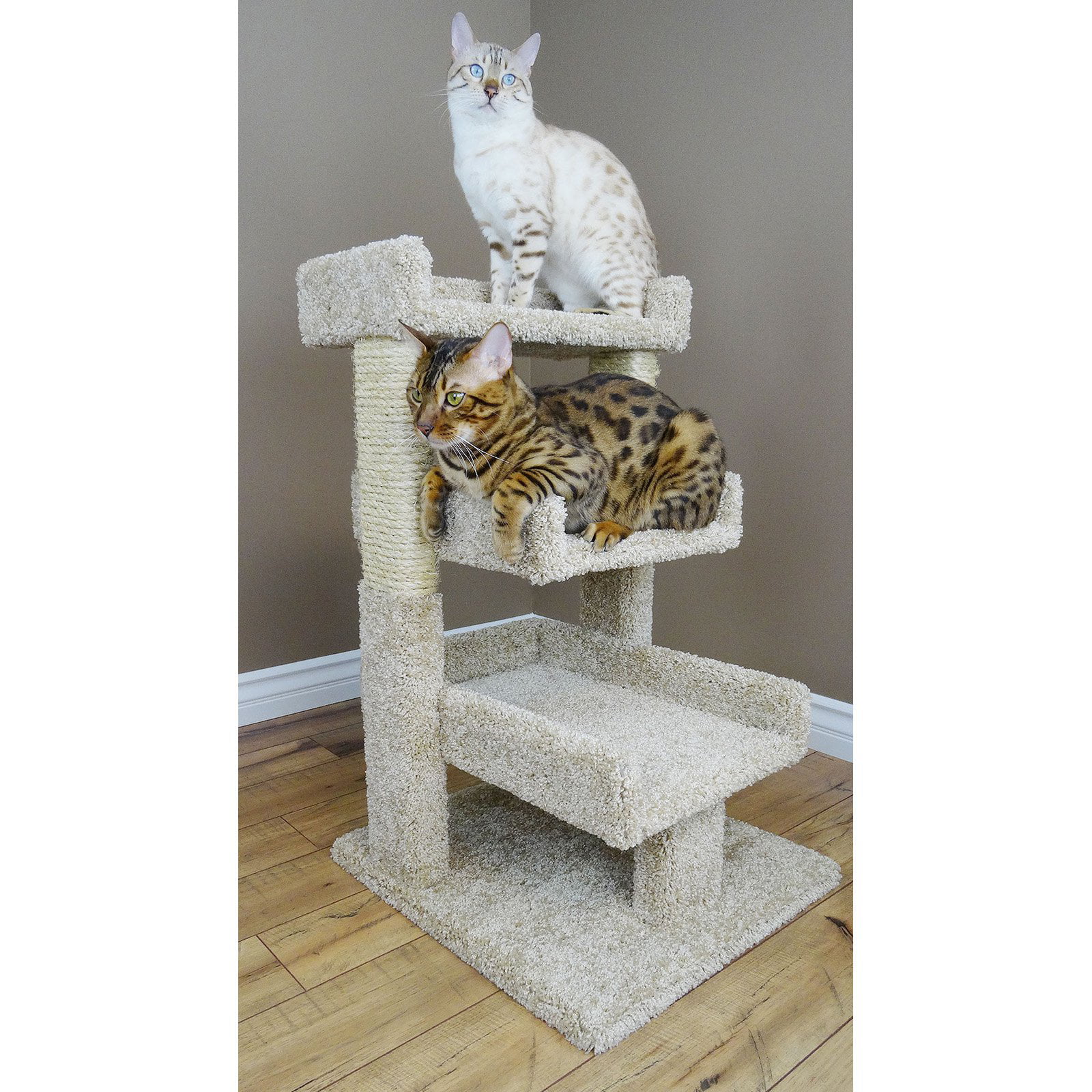 triple cat perch