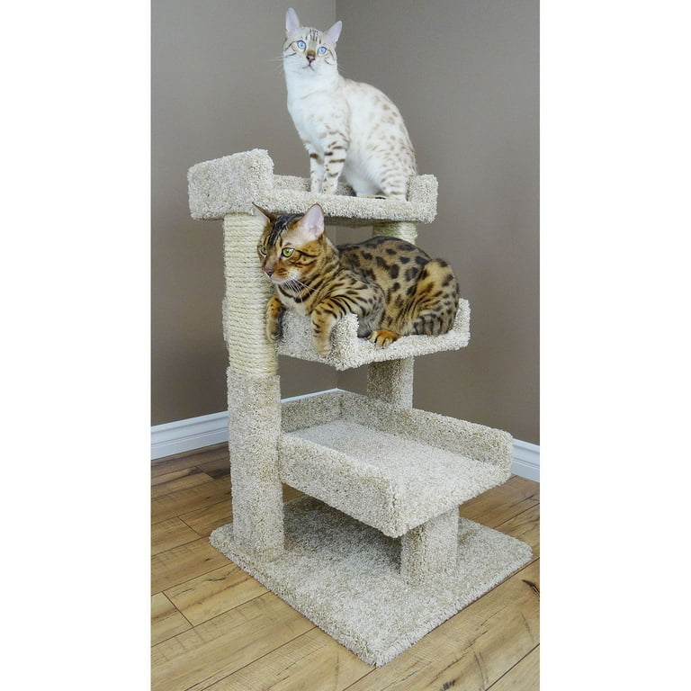 Nw cat furniture hotsell