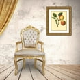 thumbnail image 3 of Unknown 20x24 Gold Ornate Wood Framed with Double Matting Museum Art Print Titled - The Longland Pear, 3 of 4