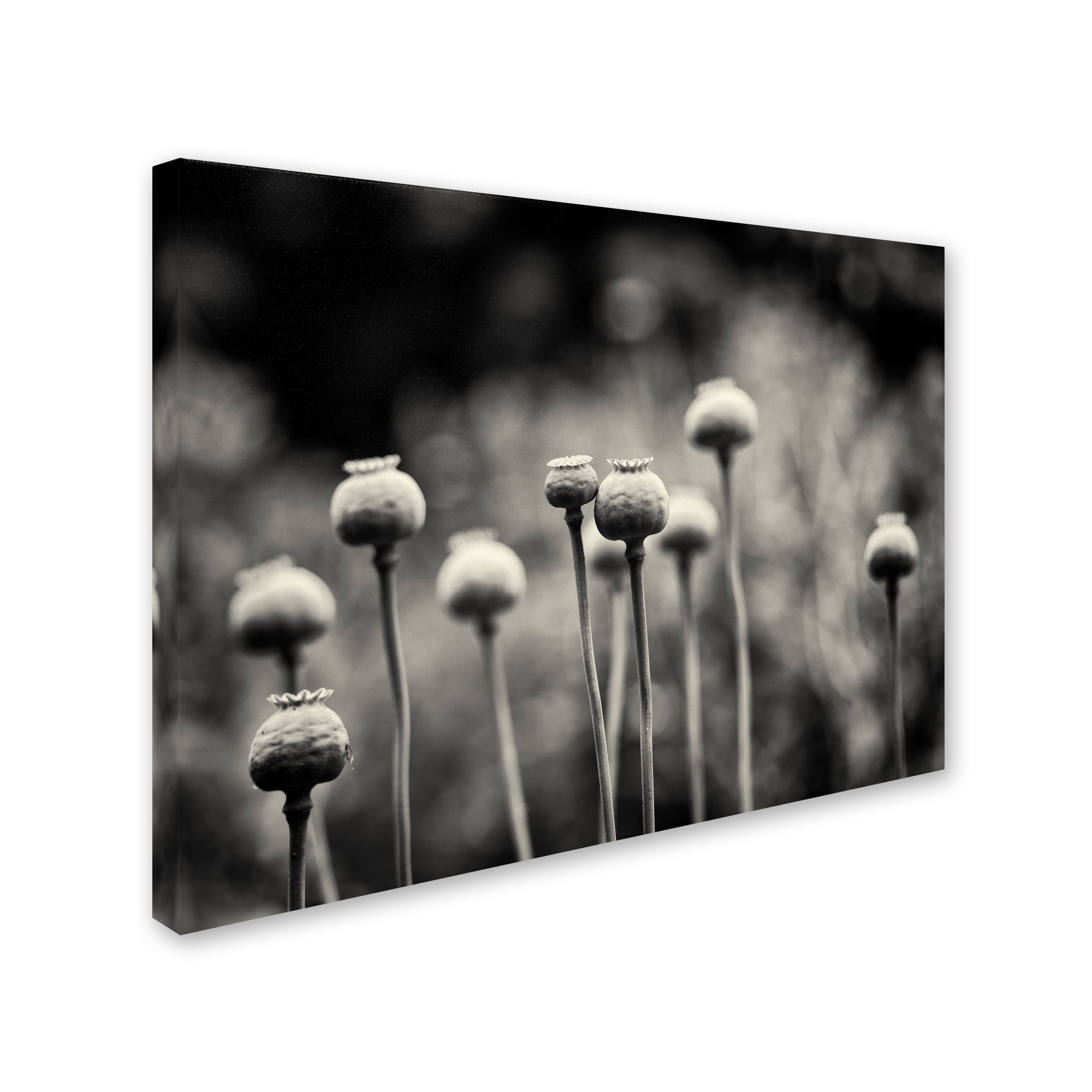 Trademark Fine Art 'Little Nemo In Slumberland' Canvas Art by Geoffrey Ansel Agrons