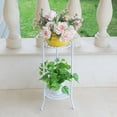 thumbnail image 3 of 2 Tier Metal Plant Stand, Round Flower Pot Rack Planter Holder Modern For Garden Patio Indoor/Outdoor Black White, 3 of 9