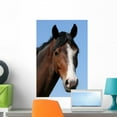 thumbnail image 1 of Horses Head Wall Mural by Wallmonkeys Peel and Stick Graphic (24 in H x 16 in W) WM347401, 1 of 4