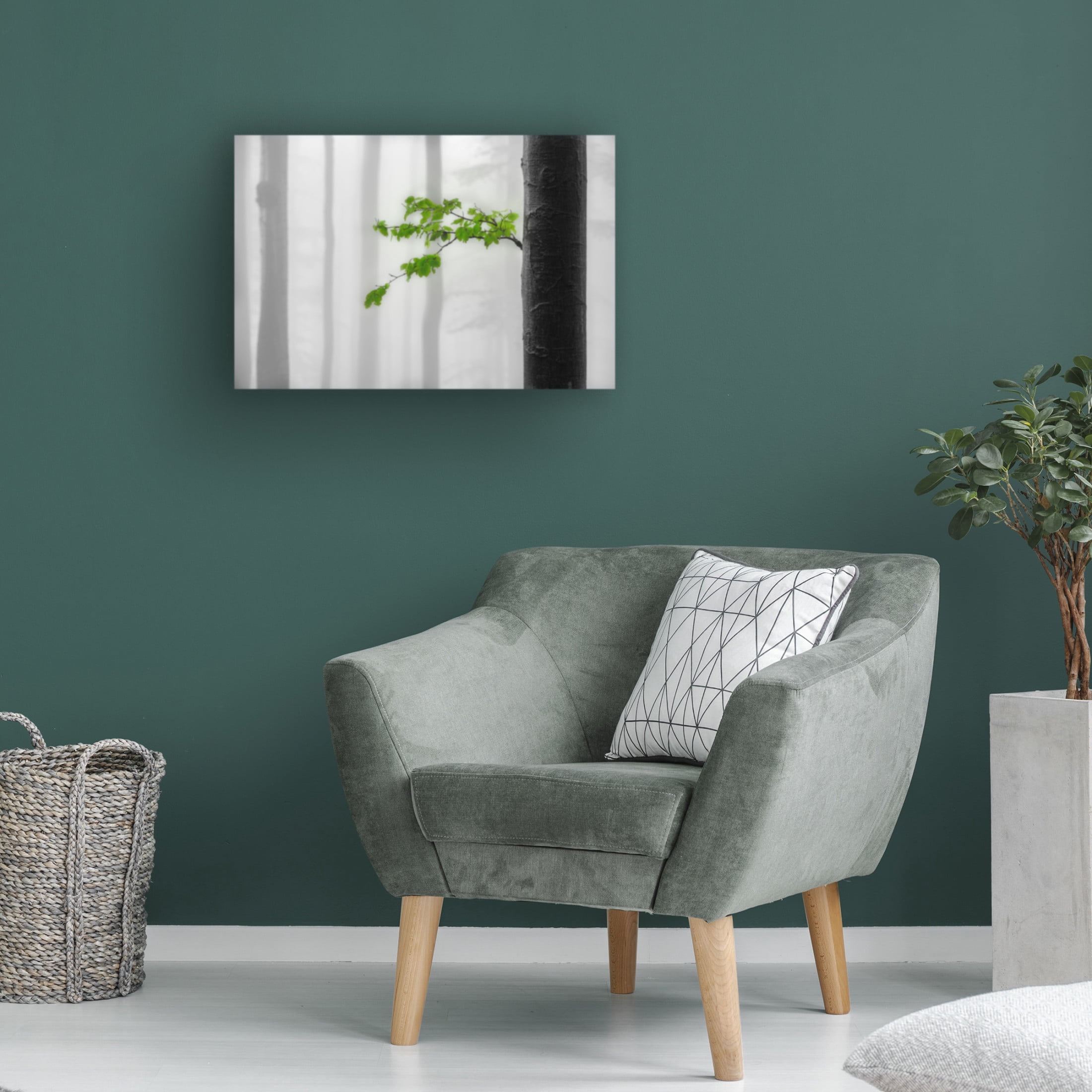 Trademark Fine Art Tom Pavlasek Green Leaves Canvas Wall Art