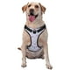 thumbnail image 1 of Fotbe Purple Butterfly Arnés para Perro con Estampado –Chaleco Ajustable Acolchado con Asa de Control para Perros Grandes-Large, 1 of 6