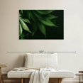 thumbnail image 2 of Elephant Stock Marijuana Sensation Wall Art - Horizontal Canvas Wall Art - Living Room Wall Decor - Hobbies And Lifestyle Canvas - Black And Green Decor - 39" x 26", 2 of 4