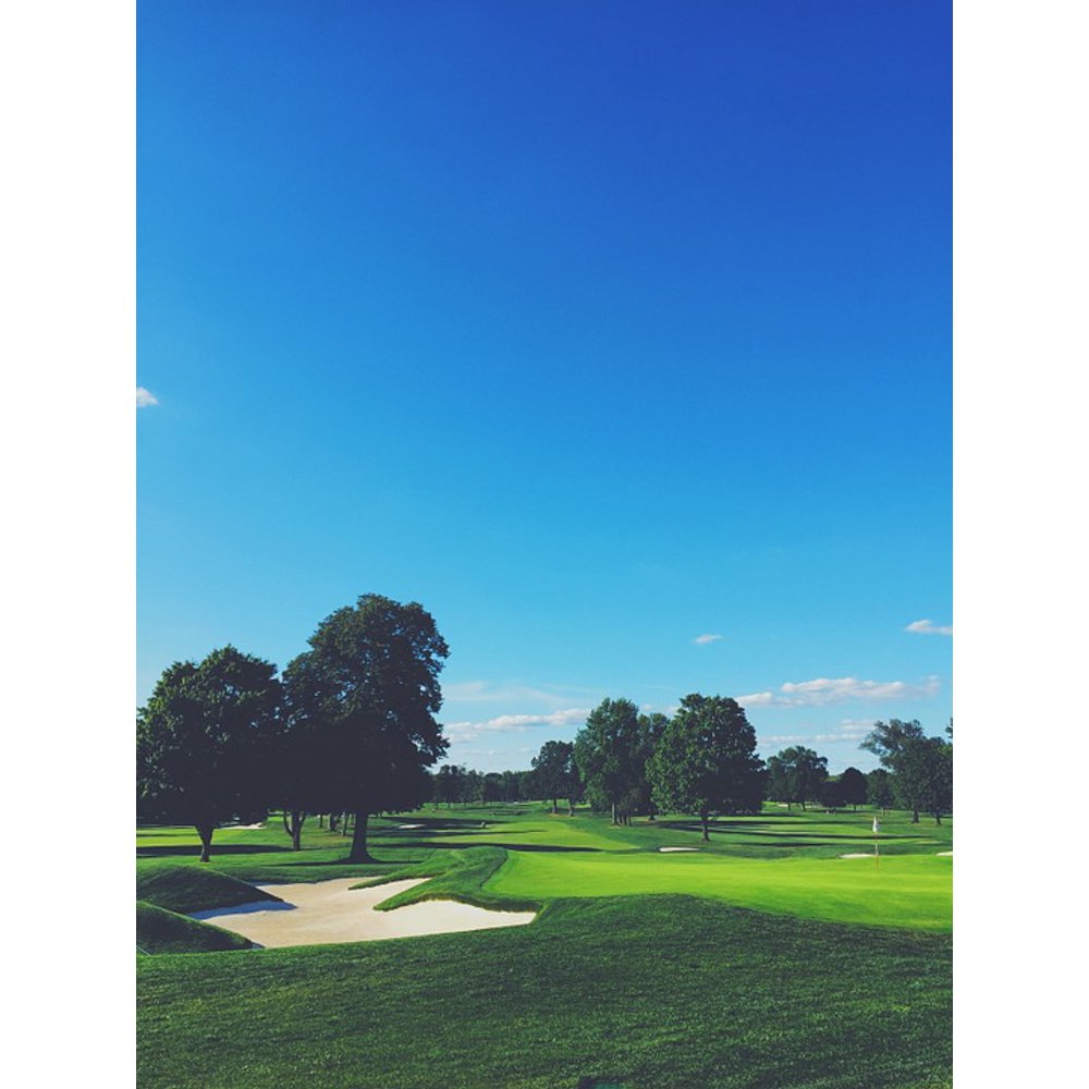 Lawn sand coursework 05 picture