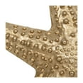 thumbnail image 5 of Sagebrook Home 17832 15 in. Metal Texture Star Fish Decor, Champagne & Gold, 5 of 6