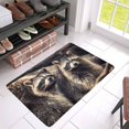 thumbnail image 3 of MKHERT Cute Raccoons in Zoological Garden Funny Animal Doormat Rug Home Decor Floor Mat Bath Mat 30x18 inch, 3 of 3
