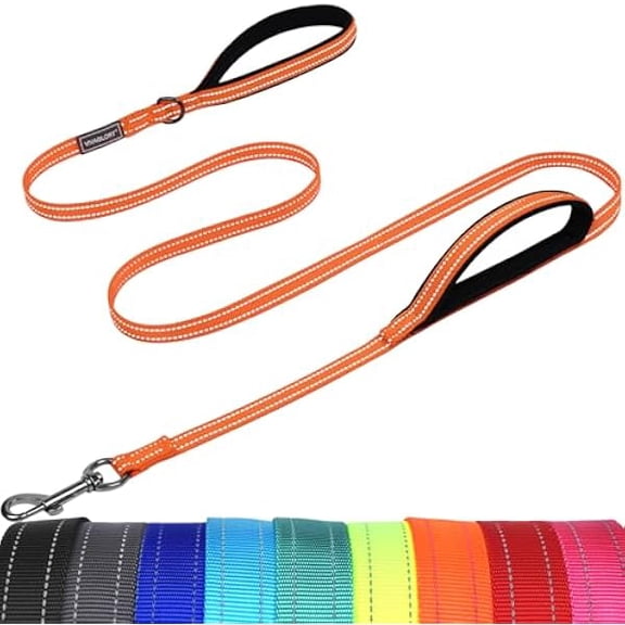 Eryueer Dog Leash Twingrip Double Handle Dog Leash with Traffic Handle Control & 2 Loop for Walking & Training, Reflective Heavy Duty for Puppy Pet Collar, 5ft x 1/2in, Orange